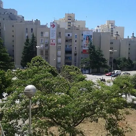 Apartman Ruza *